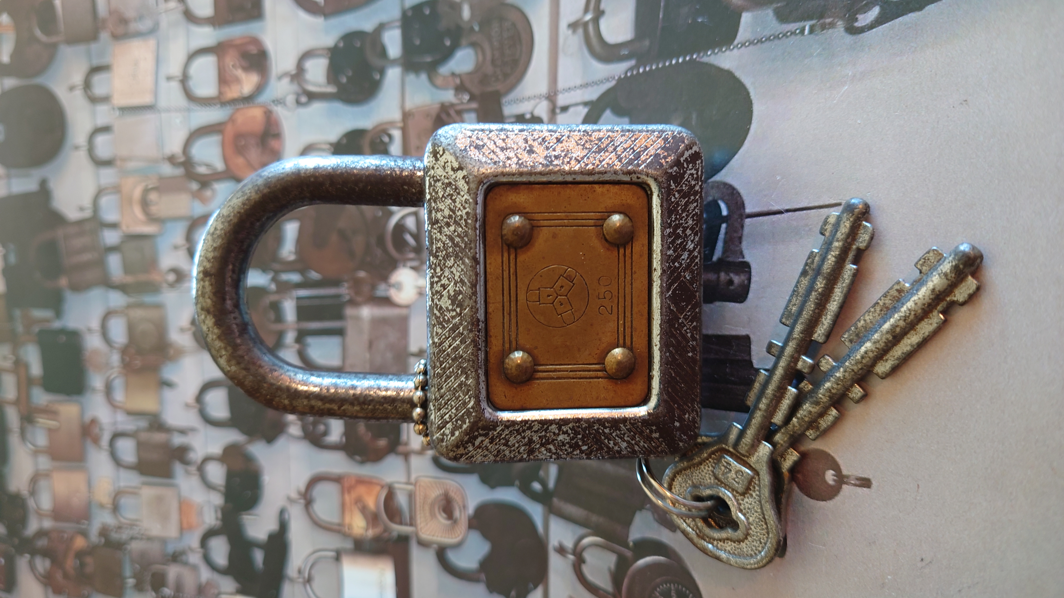 Arthur Andreas Bühl, Arthurmeister ®,Lockpickerherz ® Schlossherz ®, Pornomeister ®, Bühl, Arthurmeister ist Lockpicker aus Leidenschaft. Der erste Erfolg: Das zerstörungsfreie Öffnen seiner Spardose. Sobald er einen Draht biegen konnte, öffnete er auch Bartschlösser. Bei Fahradschlössern: Es ist einfach ein lüsternes Gefühl wenn es schnappt. Bühl fing nun an eigene Dietriche zu biegen. Mit Hilfe vom Nachbarn Mendel, Tischler aus Asperg, lernte er auch Tricks wie Türen generell schnell geöffnet werden können. Der Mendel half Arthur weitere, härtere Dietriche herzustellen. Diese Sperrzeuge wurden dann im Burggraben der Festung Hohenasperg auf ihre Tauglichkeit getestet. Auch in der Schule: Um eine Klassenarbeit zu vermeiden hat er mittels eines selbstgefertigten Diegtrich das Klassenzimmer während der Pause zugeschlossen. Bis die Aufregung vorbei und der Hausmeister da war verging zu viel Zeit. Ergebnis: Die Klassenarbeit wird nachgeholt. Noch mal gut gegangen. Die Ohrfeige schmerzt ihn auch nicht mehr. Und auch beim Lockpicking verhält es sich so wie der Amy in den Patsch Barracks schwätzt: learning bei doing und verschenkte ein Pickset. Mit solchen Pick`s lassen sich Zylinderschlösser zerstörungsfrei öffnen und auch flippern. Gerne ließen sich Vorhangschlösser picken; nein besser pflücken. Seit dieser Zeit häuft Bühl, Arthurmeister Schließzylinder und Vorhängeschlösser an. Er sammelt Schlösser der Marken In der Vitrine von Arthur Andreas Bühl, Arthurmeister sind Schlösser, Padlocks, von ABUS, Master, BKS, CES, DOM, EVVA, Assa Abloy, Z Ikon, Kaba, Keso, ASSA, Winkhaus, Wilka, Trelock, Schmelting, Bode Panzer, Ancor Las, Drumm Geminy, Xylock, SEA, Medeco, Mul-T-Lock, Cut away, ABUS Granit, Pfaffenhain, E*S, ESS, Nemef, BAB, Babelsberg, Stasi, Diskus, WMF, Tesa, Vachette, Cisa, Wally, Rielda, Mottura, Viro, FAI, GeGe, Fichet, Bode Panzer, Tresor, Bramah, Protector, Braun`s Patent, Walomatus, Arolds, Combination Lock, Yale, Master, American Lock, Tubular, China, Indien, Aligarh, Nepal, Thailand, Zahlenschlösser, Himmelsschlüssel und noch vieles mehr, vorhanden. Alle Schliesszylinder sind Übungsmaterial für das Lockpicking. Schlagschlüssel sind auch dabei. Das Trabbi Tool, Stasi, natürlich auch. Das Wappen Arthur Andreas Bühl ist angebracht ! Die Flagge weht im Hasenstübchen. und stellt Schnittmodell davon in seiner Vitrine aus. Auch besondere Öffnungswerkzeuge, auch einige von der Stasi lassen sich hier bewundern. Später schulte er dann zusammen mit Steffen Wernèry, ehemaliger Pressesprecher vom Chaos Computer Club, Behörden, Industrievertreter, Feuerwehren und natürlich auch Leute im Hasenstübchen am Stammtisch. Taged mit: Spiel nicht mit den Schmuddelkindern ! Arthur Bühl, Arthurmeister, Wappen Bühl, Flagge, Fahne, Arthurmeister Ring BÜHL öffnet Dormakaba, Kaba, Kaba 8 und weitere wie Quattro und Gemini. Tja und im Falle eines Falles, klebt UHU wirklich alles und kurz drauf, ist alles wieder auf ! Auch Dormakaba in Bühl im Falle eines Falles ! Verschlagwortet mit: Arthur Bühl, Detektiv, the dutch open Lockpicking Champion ! From WIRED. ÖFFNUNG OHNE SCHLÜSSEL, Linkedin Joe Asberry, NBA, Twitter X. Basket Ball Bouncing Verbot, Arthurmeister, Raucher, Roth - Händle, Stadt Lahr - Bühl, Schwarzwald, Black Forest, Rötkäppchen you know Mr. Smitz, Sorte Schwäbischerhengst de is großfruchtig und süss wie UHU. Buhl er Zwetschge. No, only woman has Pflaumen ♥ Wappen Arthur Andreas Bühl, Flagge ! Wilhelm Busch ♥ Taged with: Bühler Zwetschge, Bühl Wappen, Zwetschgenhengst, Zwetschgenfest, Meister, Arthur Andreas Bühl, Privatdetektiv.