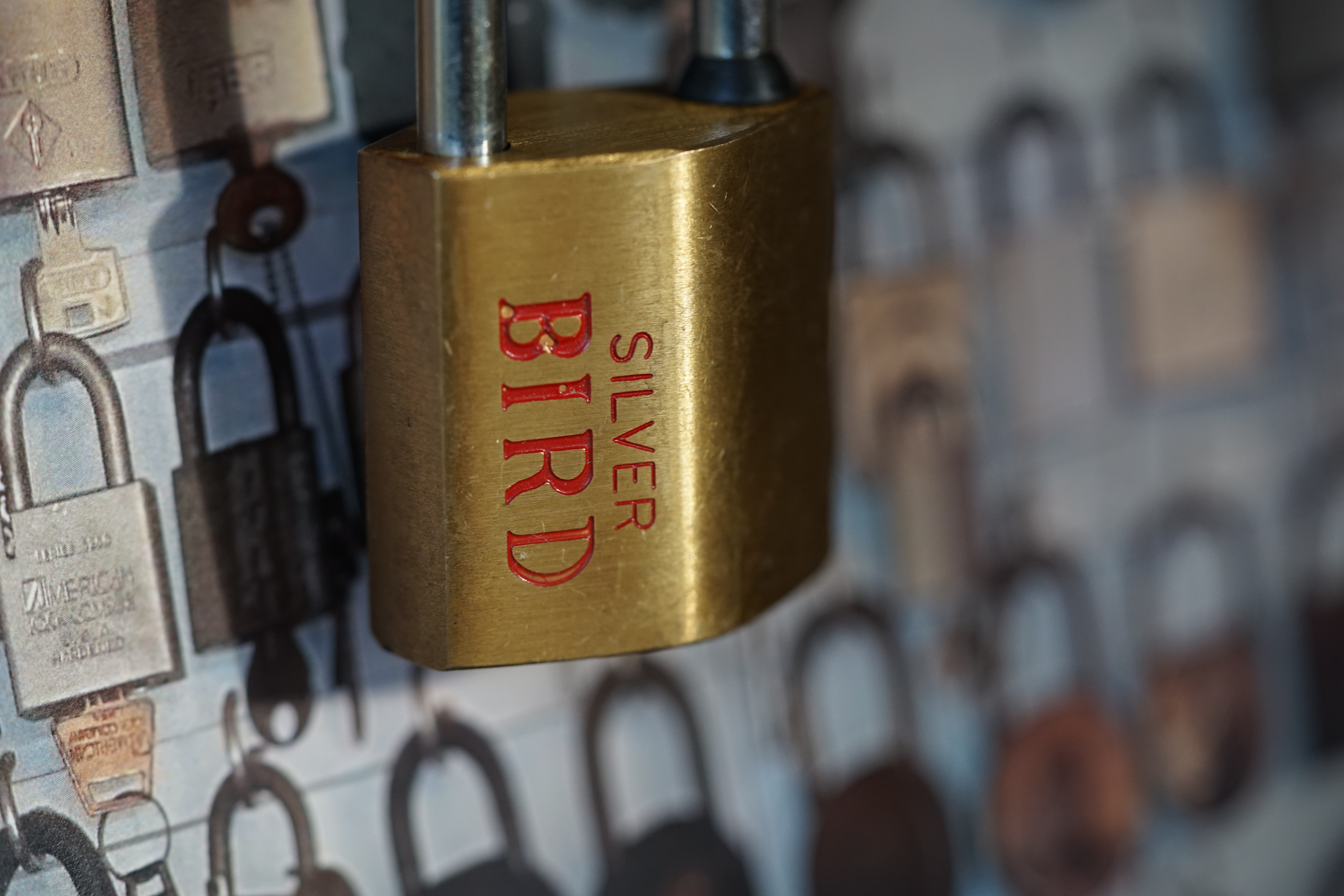 Silver Bird Padlock Sammlung Arthur Bühl Arthurmeister Lockpicking Master of the Universe Wired