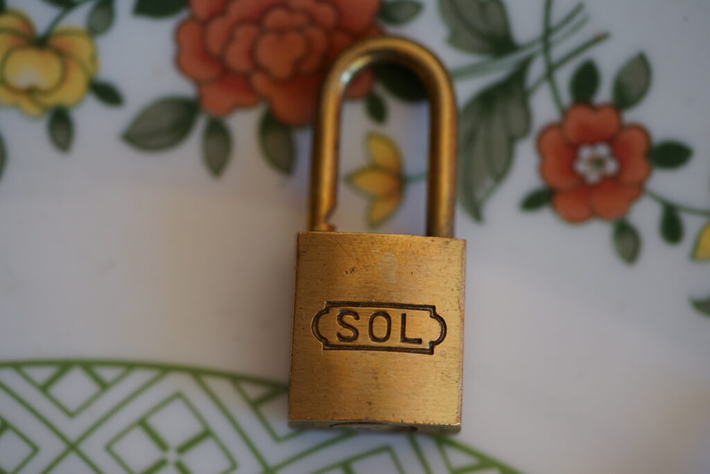 SOL Padlock Vorhangschloss Lockpicking Arthurmeister Arthur Bühl Master of the Universe Wired
