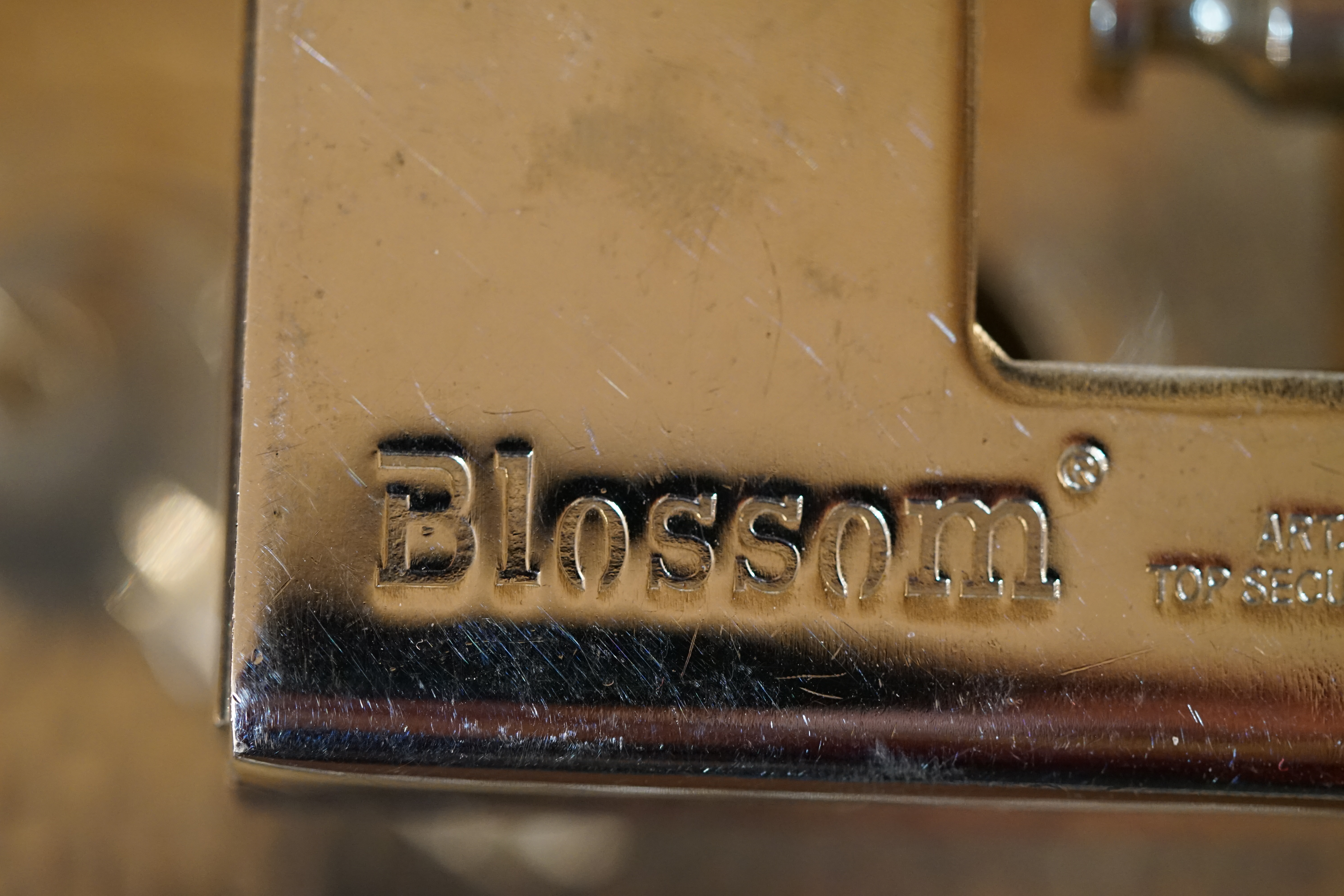 Blossom Blockschloss Arthur Bühl Arthurmeister Lockpicking Master of the Universe Wired Hamburg