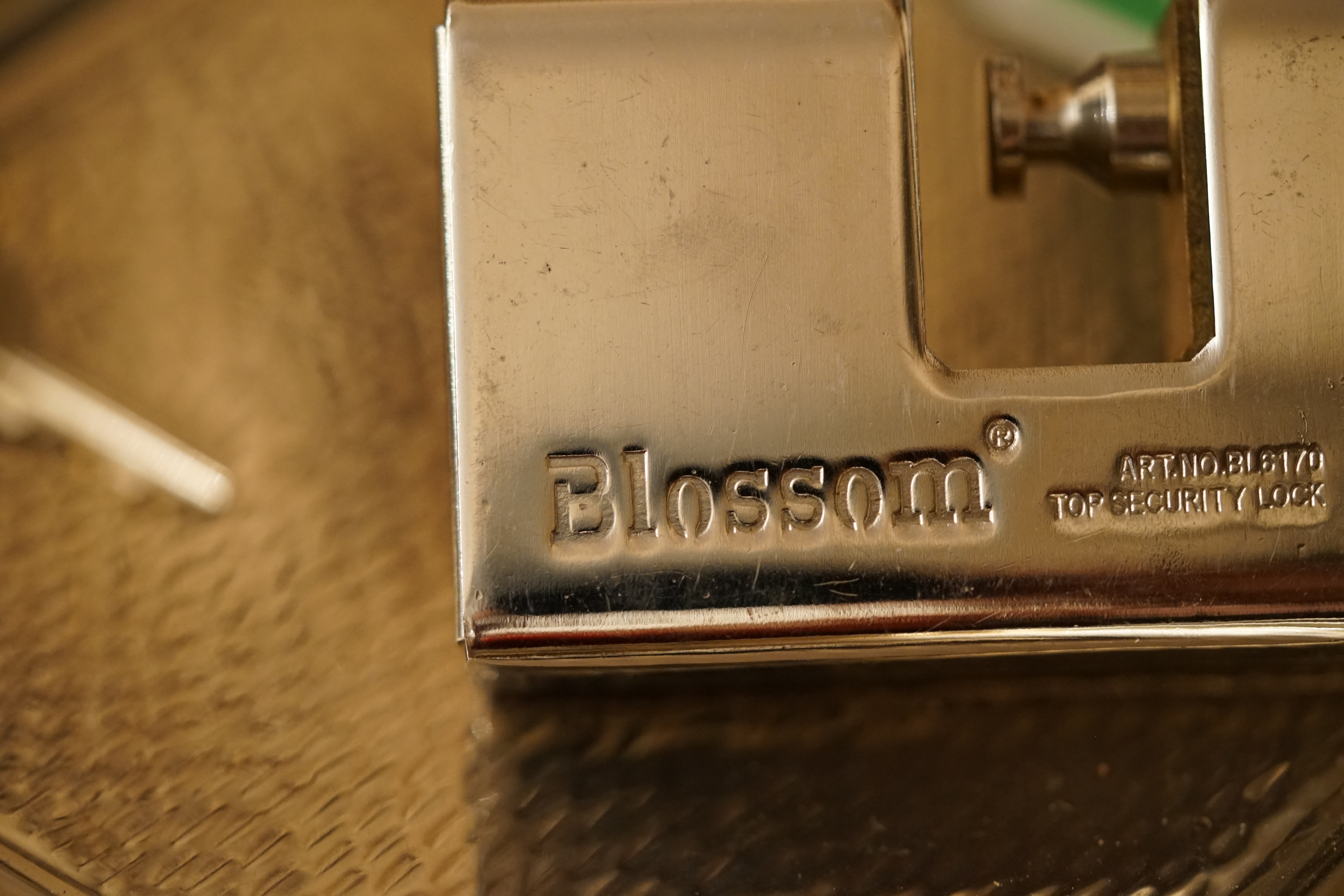 Top Security Lock Blossom Blockschloss Arthur Bühl Arthurmeister Lockpicking Master of the Universe Wired Hamburg