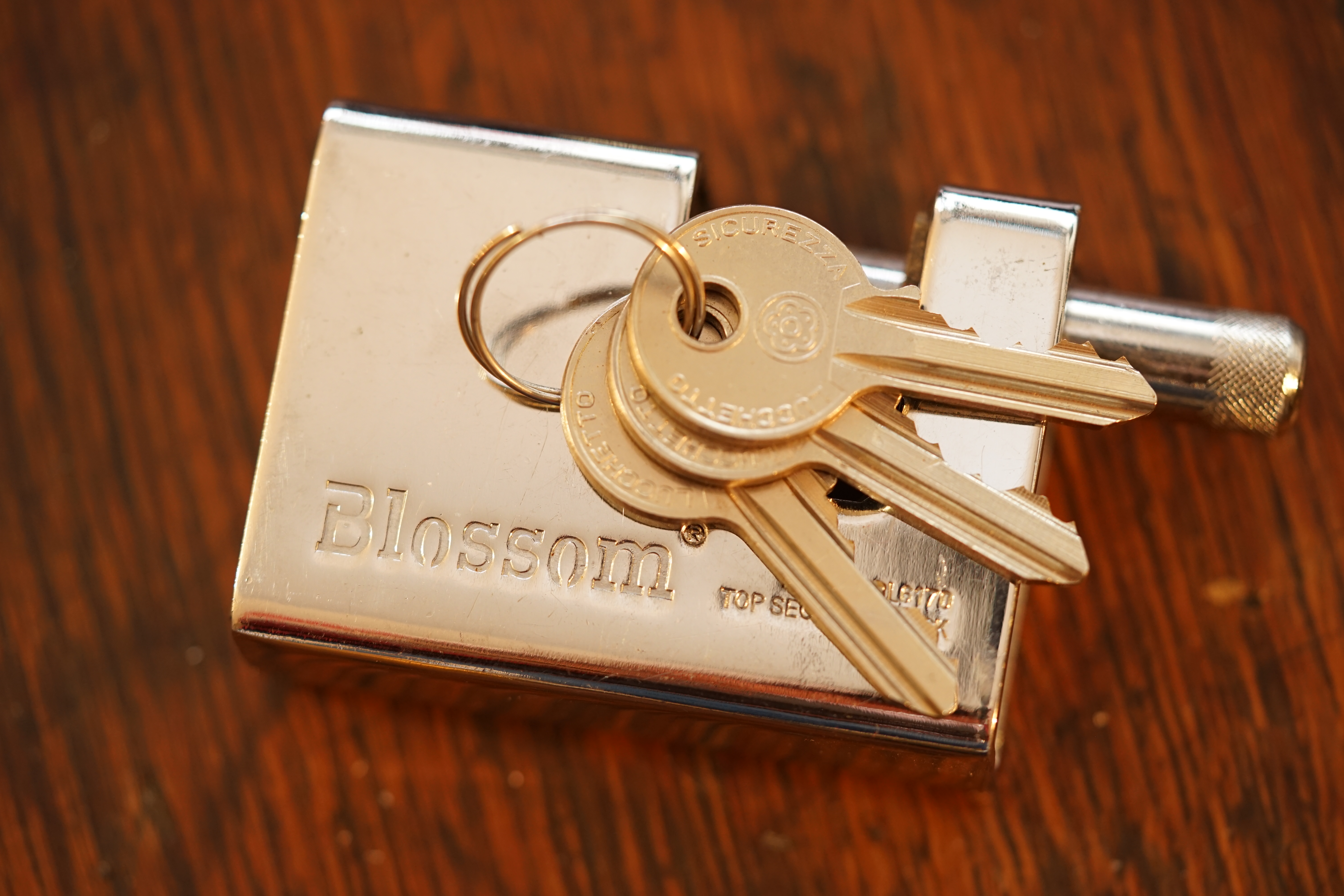 Blossom Blockschloss open offen aperto Arthur A. Bühl Arthurmeister Lockpicking Master of the Universe Wired Hamburg