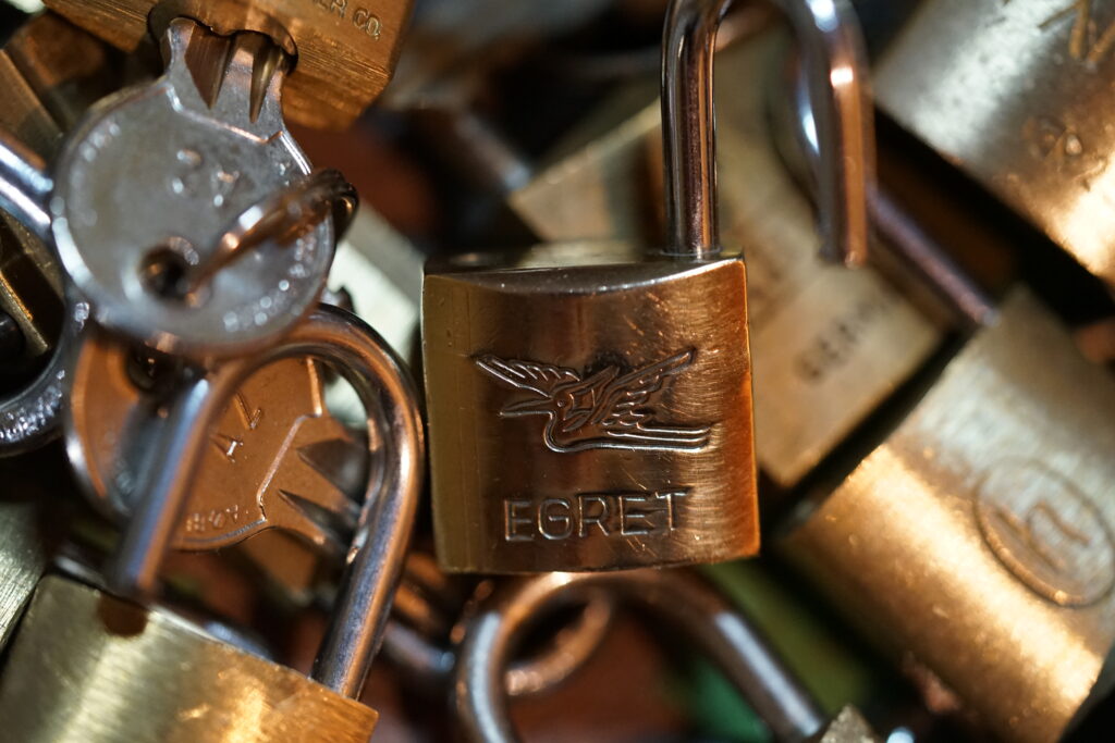 EGRET Padlock ABUS CES BKS Arthur Bühl Detektiv aus Hamburg BUDEG WAD BDD international