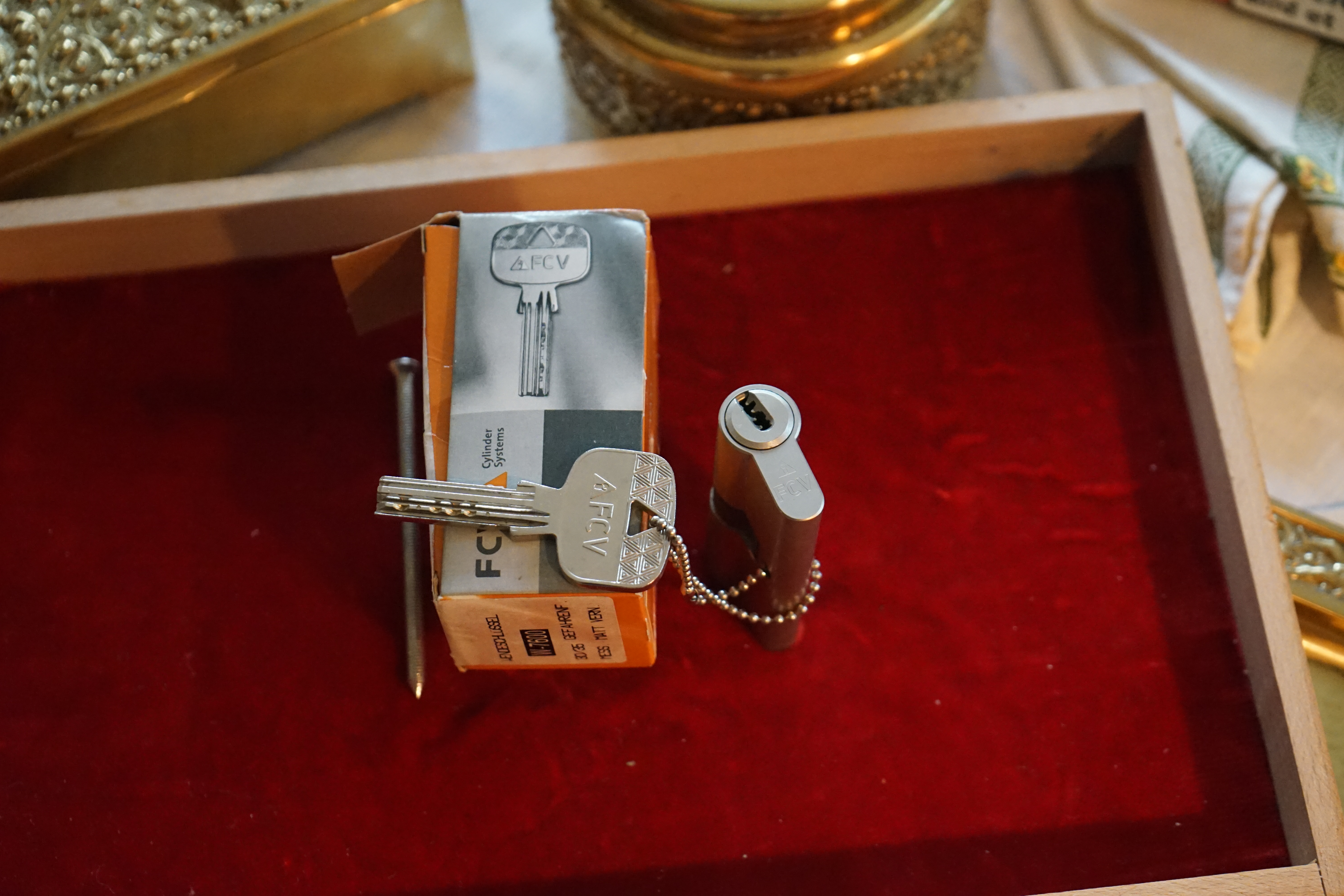 FCV Schließzylinder Schlüssel Arthur Bühl Arthurmeister Lockpicking Sympathieträger Privatdetektiv HAM BUDEG WAD BDD