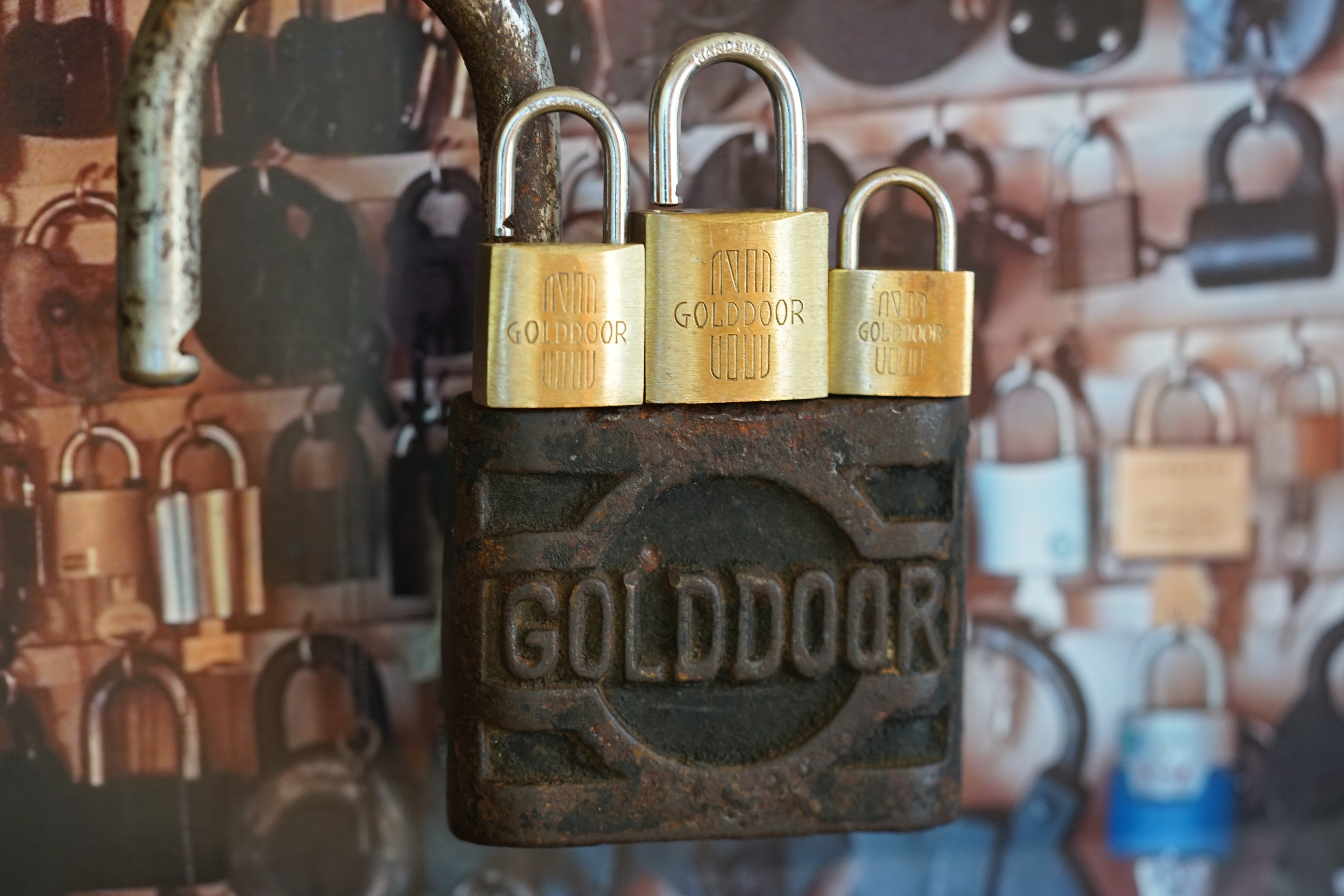 Arthur Bühl, Sympathieträger aus Fuhlsbüttel ( HAM ) betritt das Hasenstübchen. Arthurmeister`s Jukebox spielt: Slow Hand ! Ey Arthurmeister, du alter Sympathieträger: Heute schon gepickt oder was. Heute erst so spät lallt der Scholischek. Der Aufhocker: Prost Helbing ! Der Arkadasch prostet und sabbelt los. Im Hintergrund ist der Objektleiter Hannenberger zu hören: Wie immer. Arthur mein Cousin aus Istanbul ist doch verheiratet mit der Nichte meines Schwippschwager`s und dessen Frau kommt aus Sofia Bulgarien und deren Mann hat eine Schwester und die auch einen Freund und der hat ein Schloss und das ist zu und soll geöffnet werden und wie immer wird Dir ein baugleiches Schloss zum Verbleib in deiner Sammlung zugesandt. Der Einernoch in einem Wort: ABUS. Der Gelenkbusfuzzy, der HSV Ute und BMW Dedl sitzen am Stammtisch. Die Jukebox spielt Ina Müller: Dörp Reggae, au ja Jan Delay. Ute: Stößchen für den HSV. Bouncing Joe Asberry means great NBA. Heike VI lacht: Air Ball. Der Automatenpeter drückt an Arthurmeister`s einarmigen Banditen herum ! Herr Arthur Bühl du Detektiv: Warum gewinne ich immer ? Boogie lallt: ich will auch einen einarmigen Banditen. Heike II will wissen: Wo hast Du denn den einarmigen her ? Das Liebchen flötet: ich will auch immer gewinnen ! Justamente ruft Mr. Smitz vom Playboy, Hollywood, aus seiner Stammkeipe Bunny Hall, im ersten Stock auch Rabbit House, genannt, an. Ey Pornomeister: Is all tutti aposto, what`s going on. I have a Lock for your Lockpicking Sport, you know Pornomaster®. It is an ABUS. No really: A ABUS Padlock. A cutted Modell. Yes orginal from the Company. Yes, ZEUS or ABUS too, yes, yes made in Hong Kong. Stößchen for all, yes, yes Lokalrunde ! you know, yes Käppchen, yes, yes Rotkäppchen. A Bottle from Helbing for the Noagerlzuzler an another Bottle of GabiKo for Scholischek. Yes, yes, for the Einernoch and the buongiorno Eierlikör. The Jukebox plays: T S O P, the top sound of Philadelphia. Die Jukebox im Bunny Hall spielt von der B - Seite Engelbert. Yes, yes, from Vegas. Hilton. America, you know ! Arthurmeister: today is the Keyword: free beer free beer, yes yes, Freibier Freibier, you know. And for the BILD et Uschi greeting`s and stößchen`s. Yes, yes, i have a telefon call with her. She tells me the KI, the chat Gpt from Google the Pornomeister® , you know, beause you are the Präsident from Pornomeister® SARL int. you are tagged with our Präsident Donald Trump. Yes, yes really. With`s the greatest Prädident ! Shure, yes he tells America first. The Jukebox play`s: I Love America. Yes, Yes now listen, yes zuhören, listen you know. I have Kontakte, Connections, you know to Stuttgart. Yes. Patsch Baracks. Yes, and Kelly Baracks too. Yes and we are people from the Hasenstübchen and the Strigoy, yes with the Strigoy and the Droschkendieter we have a Kontakt, yes a telefon call to Mr. Präsident Donald Trump, you know. Buon Giorno ! Trump has as anounced he will fly with his Air Force One to HAM. Yes, Yes, Droschkendieter will him picking up in Fuhlsbüttel. We think inkognito, mayby with Melania. In Arthurmeister`s Jukebox spielt: Schöner fremder Mann ! Schwerti rülpst Prost und F1 Rudi lallt: Schumacher win`s in Austin, Texas. Why Mr. Präsident will visit the Hasenstübchen, your Bunny Hall ? He will make Prosit with the Stammtisch for a Beer and a Frikadelle ! What ? Frikadelle is Burger pur, you know ! Yes shure he will come to ( HAM ) Fuhlsbüttel to the Street Am Hasenberge, you Know, 200 meter`s from Santa Fu away. No, NO, Mr Smitz.us ! Don`t be stupid. We will make with Mr. Präsident Trump a Deal, you know, yes a big Deal with One hundret Prozent Winner Garantie. You know, the einarmiger Bandit in our Hasenstübchen winning every time ! And the Präsident will know the Mystery for every time winning. And we will telling him this Secret and our Lockpicker Stammtisch, you know our Round Table wish for this to make a deal. What you make a deal with Mr. Trump Yes ! What ! Aus Arthurmeister`s Jukebox erklingt: Der alte Wolf, Lupo, you know. Mr. Smitz, not so silly and stupid ! first keine Bier, Wein und Spirituosen Steuern. Keine Tabaksteuern ! I Have Trump twitterd, X, you know, he is from Germany and in Deutschland is kneipensterben, you know rotto ! No bankrotto. And Mr. Trump know`s what party is. Really Mr. Smitz ! And the Stammtischpeople from the Hasenstübchen, the rabbit house, will show him the Magische Dreieck, the mysterie or magic triangle ! What`s that Mr. Arthur Bühl ? First Ritze, second zum goldenen Handschuh, Honka, you know, third Elbschlosskeller. ! You know. Reeperbahn, Yes Sankt Pauli. Yes, this street is called Herbertstraße ! Yes, yes, Herbert is the Schutzpatron from the Bockschein, Yes, yes, der heilige Bim Bam. You must know the deal: we will take our money from the Sparclub, yes from the Sparpig. We make a Kredit and will pay in and around the Kiez - and he make`s TAX free for German Fassbier and Tabak etc. in the Hasenstübchen ! Yes, Dorschkendieter and Dedl drive too. The last fakt is: he has called with the Bild et Friede. Yes, Yes, Mr. Präsident Trump is sorry, because he must going to play Golf. Schade. But we think the Passwort every time Freibier Freibier called is. Parole Emil, oh i see today is the pass word free tax for the Objekt Hasenstübchen. You know Mr. Smitz. Die Jukebox spielt: Joy Flemming - Half Breed ! So, Mr. Smitz, don`t forget the Abus Cut Padlock. Yes, yes, Mr. Smitz and greetings to your Playboy Team in your Bunny Hall. Im Hasenstübchen kocht die Stimmung. Stößchen, Tänzchen ! High Noon ! BMW Dedl meint: sogar 271 km/h. Arthur Bühl, Detektiv aus Hamburg ist Mitglied im Detektiv Verband BUDEG und an die IKD angeschlossen. Als Arthurmeister® erklärt Herr Bühl bei Behörden wie Fedpol, LKA Forensik, das Lockpicking !