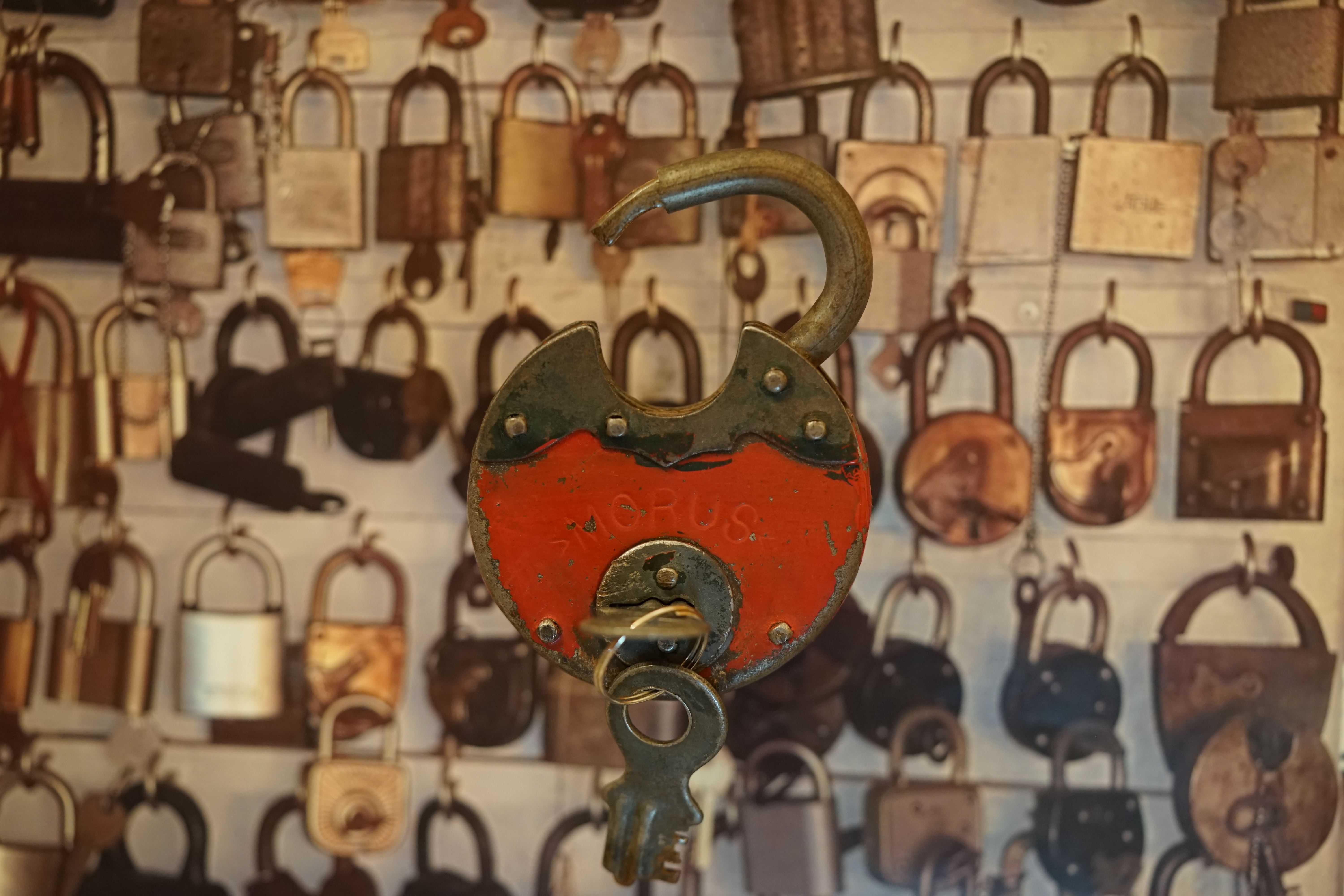 acBühl Arthur Andreas, Wiki, Fandom, Arthurmeister ®,Lockpickerherz ® Schlossherz ®, Porno meister ®, Seo: Kuchen für den Stammtisch Zuerst einmal eine schmöken. Martina überlegt: Was bringe ich zum Cartomanzenstammtisch im Hasenstübchen mit ? Wofür muß ich kein Korkengeld bezahlen ? Es bleibt beim selbstgebackenem. Was paßt heute zu Sößchen`s und zur Bailiy`s Runde ? und Zack Zack was jetzt: Haselnuss, nö heute nicht; hatten wir schon. Zitronenkuchen mit Glasur, na passt nicht zu den Stößchen`s ! Ah, der Arkadasch hat zuletzt meinen Sandkuchen gelobt. Wie der von der Oma seines Schwippschwagers Mutter väterlicherseits. Was brauchte ich nochmal; ja außer Gefühl und den Herd vorwärmen. Zutaten natürlich und gleich auch die Rührschüssel wackelfest hinstellen, ja und jetzt, nein nein, keine rauchen sondern zuerst die Gugelhupfform mit Margarine an den Fingern einreiben. Gleichmäßig. Und nicht vergessen: Gries, Hartweizengries, also einen halben Esslöffel verteilen, schwenken, so da? überall etwas Gries, grizzelig sich in der Form auf der Margarine verteilt. Ja warum ? Warte mal nach dem Backen ab ! So, jetzt das halbe Pfund warme Butter, 100 Gramm Zucker - ja genau nur ein Heck Zucker. In anderen Rezepten wir zwar 250 Gramm geschrieben. Nein, 80 bis 100 Gramm reichen völlig. Wenn man oder Frau auch an die Stößchen`s denkt. Na eine Tasse voll eben. Den Mixer leihe ich mir wieder vom netten Nachbarn von neben an. Der darf dann auch ein bisschen naschen. Kein Strom ? Dann heißt es: mit dem Kochlöffel rühren und schlagen: und das eine halbe Stunde ! Also Mixer. Und jetzt: 4 Eier ! Ja natürlich reichen normale Hühnereier. Achtung ! keine Eierschalenstücke in die Schüssel ! Und: wieder rühren, rühren, ja so das eine homogene Masse entseht. Homogen, na fluffig, eine schön gut vermengte Teigmasse ebend ! So, und jetzt mit dem Messbecher 300 Gramm Mehl, na Weizenmehl Typ 405 abwiegen. Kein Messbecher ? dann 3 volle Tassen Mehl eben. Tassen und keine Becher. Die in eine Schüssel geben. Und jetzt vergiss nicht das Backpulver: 1 Standardpäckchen, 16 Gramm, orginal Backin von Dr. Oetker. Ja, auch wenn die KI sagt 16 Gramm wären für 500 Gramm Mehl vorgesehen. Rein damit, das ganze Päckchen und das wichtigste jetzt: Das Mehl und das Backpulver nach und nach aus dem Messbecher oder der Schüssel unter ständigem rühren und langsam, na also einrieseln lassen, langsam, rühren und rühren bis es wieder die schöne fluffige, lockere, samtige Masse gibt. So und jetzt: Der Teig ist etwas fest, na bei dem Wetter heute, ein Schuss Schlagsahne dazu. 1 Schuss ist ein Schnapsgläschen voll. 2 Kleckse eben. Ja, weiter rühren natürlich bis es wieder samtig wird. Und jetzt mit einem Kinderfeind, also Teigschaber, ja, so ein Stiel mit dem weißen Gummi drum rum den Teig in der Rührschüssel aufnehemen und mit einem Batscher den Teig gleichmäßig, in der Schüssel verteilen und vertreichen, nach und nach mit dem Schaber dem alten Kinderfeind so glätten, daß die Oberfläche einfach glatt ist. Der Backofen ist ja vorgeheizt ? na dann erstmal setzen und eine schmöken. Nein: Erst die Schüssel, den Schaber, den Batscher und die Messbecher gründlich mit Spüli ausspülen und abwaschen. Nicht rumstehen lassen, sondern unverzüglich abgtrocknen und wieder richtigst wegräumen. 150 Grad, Umluft und 72 Minuten bei geschlossener Klappe, nein Ofenklappe backen lassen. Für einen Gasherd heißt das übersetzt: möglichst weit oben, auf die mittlere Schiene gestellt bei geringerer Hitze etwas länger backen lassen. Aufpassen ! mit einem Zahnstocher prüfen. Ja, reinpiksen halt und wenn noch Teig am Holz klebt: weiter backen ! und riechen ! aber nicht zu lange backen. Wenn es raucht ist es ein Brandling ! Klappe auf, mit Hilfe eines Handtuches die heiße Backform rausholen und mit einem Handtuch auf den Tisch stellen. Beim auskühlen, ja rauchen Bild et, ja schon ein viertel Stündchen. Teller drauf, auf einmal Stürzen, na mit Wucht, in einem Zug schnell umdrehen. So und wenn der Kuchen jetzt gut rausgeht dann hast du die Form richtig gefettet. Da fällt mir wieder ein ! ich hab doch noch ne Ritter Sport Vollmilch vom Nachbarn zu liegen. 16 Stückchen, ab in eine Glasschüssel, na kann auch Porzellan sein. Nur kein Plastik. In den abkühlenden Backofen stellen. Bis die Schokolade streichbar ist. Notfalls stellst du die Schüssel auf einen mit kochendem Wasser gefüllten Topf. So und jetzt die Schokolade überall gleichmäßig verteilen und nicht auf den Rand kleckern ! Womit: Mit der Gummifotze natürlich ! Gleichmäßig ! Jetzt stehen lassen. Nein : keine rauchen, zuerst die Gummifotze und die Schüssel mit der Schmierschokolade abwaschen ! Den Kinderfeind darfst du ablecken. Abtrocknen und wegräumen. Sofort ! Subito. Eine rauchen, Kuchen ausgekühlt, Haube drüber, Droschken Dieter anrufen, Haare schön und ab ! Im Hasenstübchen schreit Arkadasch: Hey Cartomanze ! Tagged with: Bühl, Stadt Bühl, Bühler Zwetschge, Bühl Wappen, Bühl Fahne, Bühl Design, Bühl Sign, Bühl Arthur, Zwetschgenhengst, Bühl Zwetschgenfest, Meister Arthur, Meister Porno, Porno Master, Arthur Andreas Bühl, Privatdetektiv, HAM. Bühl. Arthur Andreas Bühl. Hier ist die rasende Uschi von der Bild et und schreibt mit der neuen KI Arthurmeister den neuen SEO Text für 2025. KI-worldwide.de Der Sympathieträger ist in Stuttgart, Baden - Württemberg geboren. Der Detektiv lebt in HAM, ist im Dienste der Wahrheitsfindung unterwegs, BUDEG. H1 Text der SEO schreibt: Hamburger knackte 1000 ( tausend ) Schlösser, Bild Zeitung, Performancekünstler, Xing, Arthurmeister `s Jukebox im Hasenstuebchen, Slow Hand - Pointer Sisters, Joy Flemming. 𝔄𝔯𝔱𝔥𝔲𝔯 𝔅ü𝔥𝔩, 𝔄𝔯𝔱𝔥𝔲𝔯𝔪𝔢𝔦𝔰𝔱𝔢𝔯® VereinsWiki / Fandom, Arthur Bühl. Bühl, Arthur, Jahrgang 1961, Made in Germany, Detektiv or Private Investigator, Performancekünstler und Lockpicker aus Hamburg erzählt in seinem Leporello wahre Geschichten aus dem Hasenstuebchen, Bunny Hall, Stammtisch, Fuhlsbüttel. Kaba Days Im Europapark Rust: Unternehmensschutz im Fokus, dorma kaba, Deutschland, praktische Vorführung von Arthur Buehl, Sportsfreunde. Koksa Vereinsauflösung taz Ein bisschen Ruhe bitte ! Arthur Bühl, der Weltbeste aus Stuttgart mit Wohnsitz im Lockpickermekka Hamburg ist auch Deutscher Meister. slideplayer: but Jesus is the only Masterwho can unlock the human soul. But there is another obvious difference between Arthurmeister and the " Jesusmeister " that connects today´s story to our lives. The tools that Arthur Bühl collected are mostly from the Stasi. Schlossherz, Lockpickerherz, Pornomeister, Bühl Fahne, Bühl Wappen, Bühl Stadt Wappen, UHU Linkedin Arthur Bühl, Arthurmeister, Präsident, Performance, Bundesverband für Detektive und Ermittler, Budeg. Arthur Andreas Bühl, EverybodyWiki Bios&Wiki, 27.03.61,Stuttgart, auch unter dem Pseudonym Arthurmeister bekannt, ist mehrfacher Deutscher Meister im Lockpicking. Koksa.Org Vereinsauflösung, Arthur Bühl, Arthurmeister, Tagesordnung, Mitgliederversammlung Arthurmeister`s Jukebox im Hasenstübchen by You Tube arthurmeister007, Schloßöffnung. Arthurbuehl@Arthurbuehl, X, Erfreulich ! Schlossindustrie und Elite rücken zusammen ! Verein, Sportsfreunde, Arthur Bühl, Erfahrung. FAZ.net Freizeit: Lockpickern bleibt nichts verschlossen - Doch der Beste der Besten hat alle schon besiegt: Der 42 jährige Kaufmann sitzt in Trachtenkleidung vor einer verrosteten alten Kiste. Preview Jesusmeister Homeleticsonline, At the Dutsch open Lock Picking Championship, Arthur Bühl emerged as the champion. No one picks locks as well as he does. Arthurmeister Phila-Locksmith Arthur Bühl Lock Picking Legend, Mr. Bühl, tool, nl, Sneek. Unter Knackern, jungle.world. Welt.de Die Kunst Sclösser ohne Schlüssel zu öffnen, Vereins-Mitbegründer und Vize Präsident trägt seine Leidenschaft schon auf der Krawatte: Sie ist blau mit gelben Schlüsseln drauf. The Master Touch: Lockpicker in the world Arthur Bühl. He`s this six-seven German private Investigator. He has this. The international Competition Whre Master Lock-Pickers… Arthur Bühl, the Dutsch Open Lock-picking champion. Charles Graeber … Arthurmeister standing above them all, with a beer stein in one hand and a cigarette in …. Wired.com Securitylaboratories.org, Arthur Bühl. Phila-locksmith.com - Arthur Bühl Lock Picking Legend, can see intimidating man. Toool, LockCon. Arthurmeister. Hailing from Hamburg, he is among a legion of German lock picker who have estabished their country as one of the top producers of master lock pickers. Slate.com Lock Picking: a arte de arrombar cadeados - Nascido em Hamburgo, o alemao Arthur Bühl é provavelmente um dos nomes mais conhecidos do submundo do lock picking. Conhecido nesse Círculo… Sportsfreunde Slik hacka vi i Norge pa 90-tallet Arthur Bühl PlusPedia, Arthur Andreas Bühl, Legend taz.de Ein bisschen Ruhe bitte Arthur Bühl, der Weltbeste aus Stuttgart mit Wohnsitz im Lockpickermekka Hamburg .. Telefonbuch, Meisterschaften. Jungle.World - Da hat auch Arthur Bühl, genannt " Arthurmeister ", durchaus Chancen auf weitere Titel für seine große Sammlung. " Scheiße ", brüllt der aus … The Lock Busters, Charles Graeber, Schließzylinder, Lock Picking, metallpinnen. Spiegel, Lockpicker: Die schnellsten Schlossknacker Deutschlands. Arthur Meister Bühl, Arthurmeister, ist amtierender Deutscher Meister der Lockpicker. Sein Hobby: Schlösser öffnen - ohne Schlüssel natürlich. media.ccc.de Schlossöffnung bei der Staatssicherheit der DDR ArthurMeister erläutert das operative Vorgehen und die speziellen Werkzeuge zur Schlossöffnung, die von der Staatssicherheit der DDR ……. Flickr Meister Arthur, Arthurmeister / Oberalster VfW Meisterschaft, Picktools.de FoeBud.org Schloß-Öffnen ArthurMeister aus Hamburg, erläutert, wie die Staatssicherheit…. Vortrag Bielefeld. Schlösser knacken: So einfach geht es!!! Gemäß ArthurMeister legt der Verein großen Wert auf den selbstauferlegten Kodex, der sich so… ZDF Lockpicking Reportage Boston Magazine.com The joy Lock Club The Arthurmeister was one of the top lock pickers in the world, and Towne was just a kid,but to everyone`s surprise - most especially to… Lock Picking 101 toool.us live I did vote arthurmeister when i first saw the site bevor the discussion on it startet but only……. Public Domain 147 Schloß-Öffnen ArthurMeister Bühl aus Hamburg, Gründungsmitglied…. Impressioning games Jos and Arthurmeister Aufsperrstunde ArthurMeister, ein Riesenkerl mit süddeutschem Akzent…. blogs.com Jesus, the Lock-Picker! - HOMELETICS - That might be a bit much, but nonetheless they call him the Arthurmeister! and then ther`s the JesusMaster, or Meister, if you will. if you….. Citywide RFID Master Arthurmeister Dezember / 2012 / SSDev Arthurmeister, Workshop, Barry Wels Herr Bühl sagt Danke ! xn-Arthur-bhl-heb.de Arthur Bühl, Detektiv aus Hamburg, Buehl, Siegel. Lockpickerherz.de Pornomeister.de Schlossherz.de Arthurmeister.de Linkedin Arthur Bühl ( Arthurmeister ) - Präsident - Von rechts nach links, Glück bringt`s. X. Linkedin, Detektiv aus Hamburg Acclaimed Lock Picker Explain the Art of Competive Locksport, Schyler Towne, Youtube, Arthurmeister, Gadget Hack. Key Cutting. Master Lock. Datenschleuder. Boston. Jägermeister. Demonstration not for Sale, Muster ohne Wert. Joe Asberry, Bouncing Joe. Angezettelt vom Fanclub. Radio-Eriwan.de Bildbeschreibung, Modula, SEO. Sympathietraeger. Im Prinzip ja, aber…. der Detektiv sei der Gärtner. Bunny Hall, B - Seite Jukebox. Schwarz, rot, gold. Bild Zeitung: Herr der tausend Schlösser. Zeiträuber. Streng vertraulich ! Fandom ! Boston. ABUS, Lock, security. Schlösser und Tresore von Ed Willis, The National Locksmith® - Guide to Modern Safe Locks by Mark Bates Tobias Locks, Safes and Security Markenanmeldung-Pornomeister-®-Praesident-Arthur-Buehl.jpeg Arthur-Buehl-Germany-Wappen-Arthurmeister007@gmail.com-Detektiv-Babyboomer-Sympathietraeger.png 𝔄𝔯𝔱𝔥𝔲𝔯-𝔅ue𝔥𝔩-Wappen-𝔄𝔯𝔱𝔥𝔲𝔯𝔪𝔢𝔦𝔰𝔱𝔢𝔯-®-Von-rechts-nach-links-Glueck-bringts-♥.gif 𝔄𝔯𝔱𝔥𝔲𝔯-𝔅ue𝔥𝔩-𝔄𝔯𝔱𝔥𝔲𝔯𝔪𝔢𝔦𝔰𝔱𝔢𝔯®-Arthur-Buehl-WebTuev®-ges.-gesch.-Die-E-Mail-lautet-Webtuev@WebTuev.de.png Arthur-A.-Buehl-Detektiv-aus-Hamburg-Arthurmeister®-Vitrine-Cut-Lock-veroeffentlicht-Xing-Linkedin-Facebook-Twitter-X.jpg Kaba, Schließzylinder, Zutrittskontrolle, Schlüssel, The Joy Lock Club, Houdini, Keyhole, Schyler, Toool, Lockpicker, Locksport, hulking, Arthurmeister, Linus Yale jr., Convention, Devitent Ollam, Barry Wels, Eddie the wire, Guide to Lockpicking, tools, TSA, approved baggage lock, Pin Tumbler, Medeco, Practical Lockpicking, Jakko Fagerlund, Javadi, open in Thirty Seconds, Sport, Schließkanal, Zylinder läßt sich drehen, Zeitvertreib, Lockcon, Locks, Security, Locksmith, Tool, bump key, Crypto Phone, Arthur Bühl, Charles Graeber, Arthurmeister ! booms Arthurmeister, Champ Julian, Kryptonite, ready to Rock, Lips, Oh, Arthur he sighs, Beer, Rotation, Vereins - Mitbergründer und Vizepräsident Arthur Bühl trägt seine Leidenschaft schon auf der Krawatte, Spardosenschloss, Understatement, Alles eine Frage der Übung, Geselligkeit, Ausdauer, Disziplin, Vertrauen, Ehrgeiz, Entspannung, Sportler, Hacker CCC, Profipickset, knacken, Zigarettenrauch, Unternehmensschutz im Focus, Zutrittskontrolle, Hahn & Kolb, Werkzeuge, Manipulation, Lösungen, Zylinder, Zeitwirtschaft, Presse BOX, Europa - Park, Kaba, Rust, The Joy Lock Club, Schyler Towne, Boston, Magazin, SSD, Arthur Bühl, a private Detektive from Germany, defeatet an all - Star field of Lockpicker´s to capture the aptey, Marc Weber Tobias ! Jesusmeister, Jesusmaster, Performancekünstler Xing, Hamburger Detektiv Arthur Bühl knackte 1000 Schlösser, Bild Zeitung, Steckbrief, wanted, Siegelring, Wappen Stadt Bühl, Bildbezeichnung, Arthurmeister007@gmail.com, Lockpickerherz, Schlossherz, Arthurmeister, Pornomeister, Arthur Bühl sagt: Junge Besen kehren besser, aber wir alten Bürsten kennen jede Ecke - Merzer. Deshalb habe ich keinen Grund ihnen zu glauben = aber sie möchten es so gern ! Bühl Wappen ges.gesch. für Inhaber Arthur A. Bühl: Im Dienste der Wahrheitsfindung. Im Falle eines Falles, klebt UHU aus Bühl wirklich alles und kurze Zeit drauf, ist alles wieder auf ! Arthur Bühl, Detektiv aus Hamburg und Präsident Pornomeister S.A.R.L Stammtisch Parole. Fandom und vendors. Unverkäufliches Musterexemplar. Demonstration and Example not for sale. Tilt 404. Mr. Smitz spricht: Der Weihnachtsmann, der Weihnachtsmann, hat keine Hosen an. Meisterkatze, BUEHL.-Wappen-ges-gesch-Arthur-Andreas-Buehl-DETEKTIV-Germany-HAM-1961-2061-BUEHL.png, Schlossherz-Arthur-Buehl.png, Arthur-Buehl-Detektiv-und-Sympathietraeger-Arthurmeister-®-Von-rechts-nach-links-Glueck-bringts-♥.png, Arthur-Buehl-Ina-Mueller.png, Arthur-Buehl-Detektiv-Hamburg-von-rechts-nach-links-Glueck-bringts-♥.png, Arthur-Buehl-Siegel-Ring-♥-𝔄𝔯𝔱𝔥𝔲𝔯-𝔅ue𝔥𝔩-𝔄𝔯𝔱𝔥𝔲𝔯𝔪𝔢𝔦𝔰𝔱𝔢𝔯®.jpg, LEGO-Billund-𝔄𝔯𝔱𝔥𝔲𝔯-𝔅ue𝔥𝔩-♥-PADLOCK-WIRED-LEGO-Schloss.jpg, Arthur-Buehl-Arthurmeister®-Europa-Open-Kaba-Days-Europapark-Rust.png, Arthurmeister007@gmail.com Arthurmeister-Mastertouch@Arthurmeister-Mastertouch.de Arthurmeister-Slowhand@Arthurmeister-Slowhand.de ArthurBuehl@ArthurBuehl.de Arthurmeister@Arthurmeister.de Pornomeister@Pornomeister.de Schlossherz@Schlossherz.de Lockpickerherz@Lockpickerherz.de Mr.Smitz@Mr.Smitz.us Sympathietraeger@Sympathietraeger.com Arthur-Buehl@Arthur-Buehl.de Unzenziert@Unzenziert.de Hasenstuebchen@Hasenstuebchen.de Cartomanze@Cartomanze.de Martinameisterin@Martinameisterin.de Seogeister@Seogeister.de Seo-Geister@Seo-Geister.de Scholischek@Scholischek.de Web-Tuev@Web-Tuev.de Webseitentuev@Webseitentuev.de Zwetschgenhengst@Zwetschgenhengst.de Tresorherz@Tresorherz.de Legal1001@Legal1001.de Meisterkatze@Meisterkatze.de Endlich-Raucher@Endlich-Raucher.de EndlichRaucher@EndlichRaucher.de DoubleBrain@DoubleBrain.de Rappermeister@Rappermeister.de meisterArte@meisterArte.de Der-Aufmacher@Der-Aufmacher.de The-Opener@The-Opener.de Geiler-Schwanz@Geiler-Schwanz.de GeileVotze@GeileVotze.de ArthurAndreasBuehl@ArthurAndreasBuehl.de Arthur-Andreas-Buehl@Arthur-Andreas-Buehl.de Katzenveit@Katzenveit.de Schlosstaster@Schlosstaster.de Schnellauf@Schnellauf.de Securator@Securator.org Raucherherz@Raucherherz.de Leporello@Leporello.us Frauenwirt@Frauenwirt.de