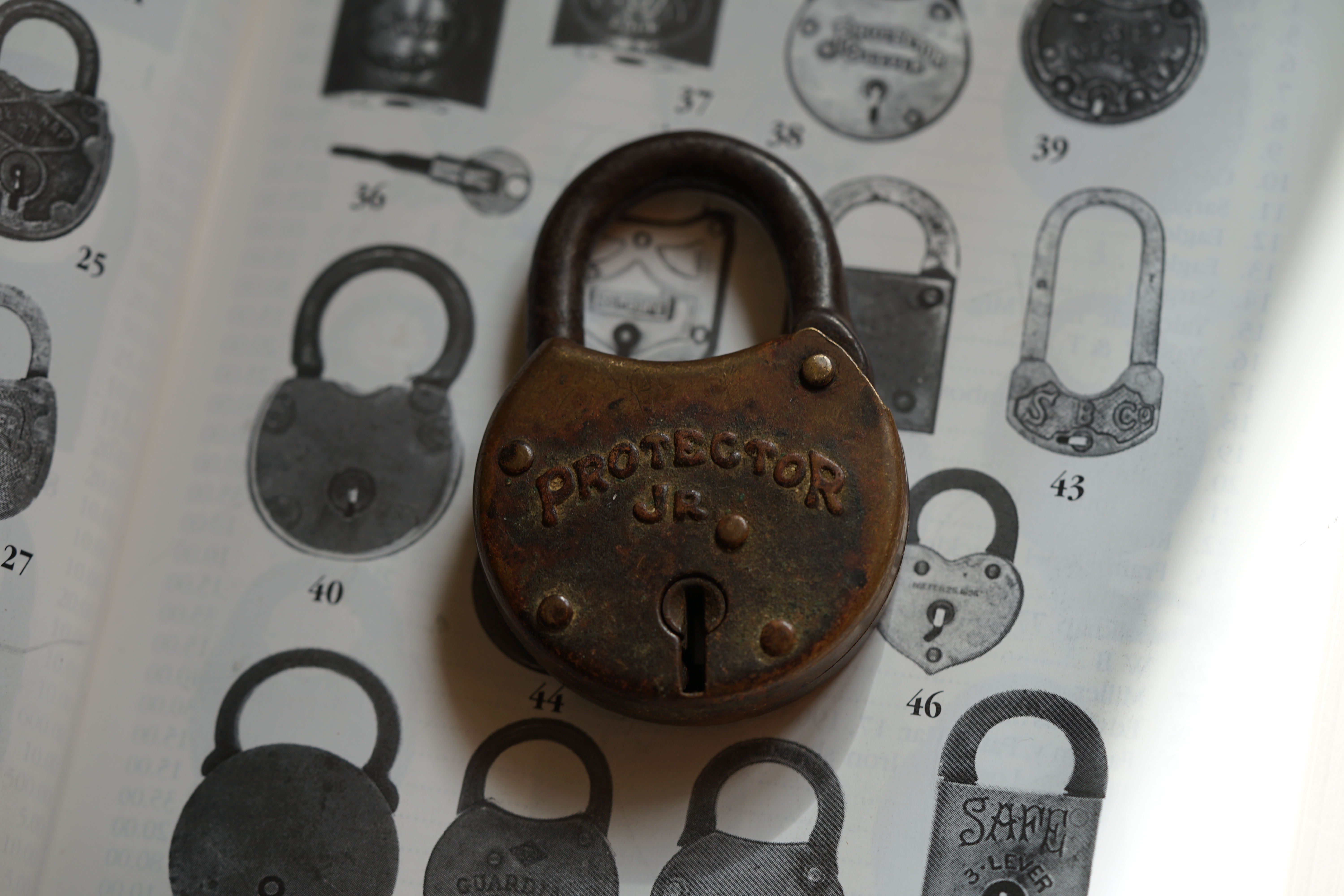 Protector Padlock Sicherheitsschloss Security Arthur A. Bühl Privatinvestigator Hamburg BUDEG WAD BDD