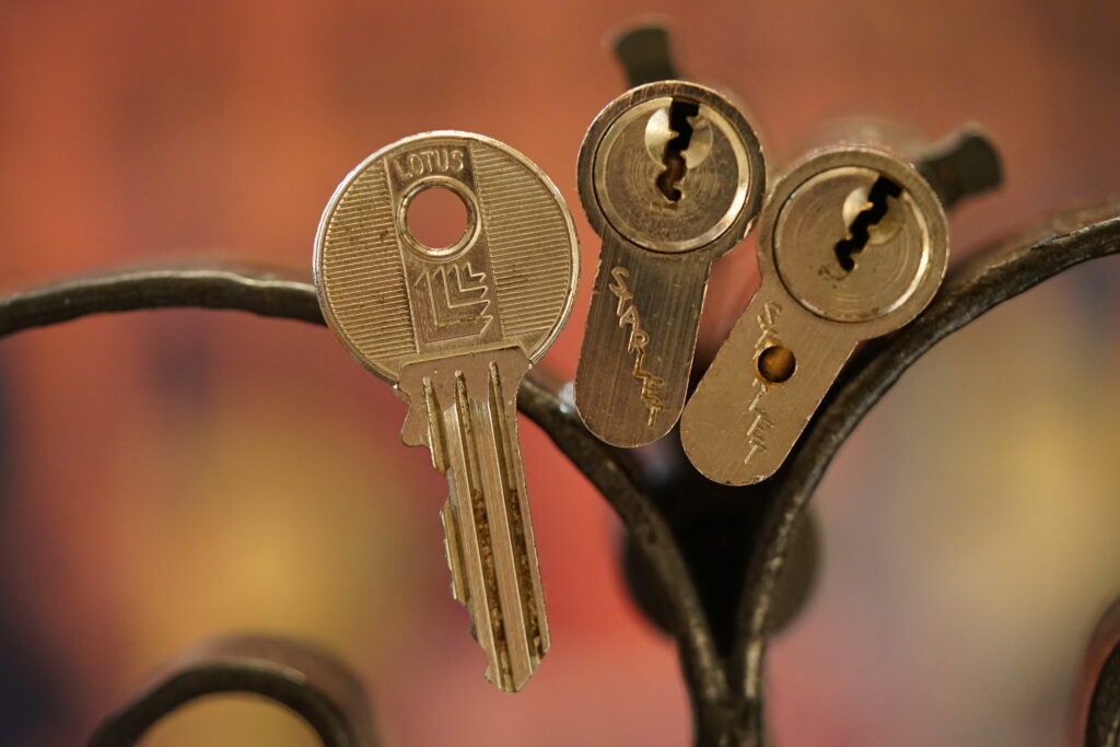 STARLET Cylinder offen open ouvert Arthur Bühl Arthurmeister Lockpicking Lotus Rohling ABUS Master of the Universe Wired Lock Germany