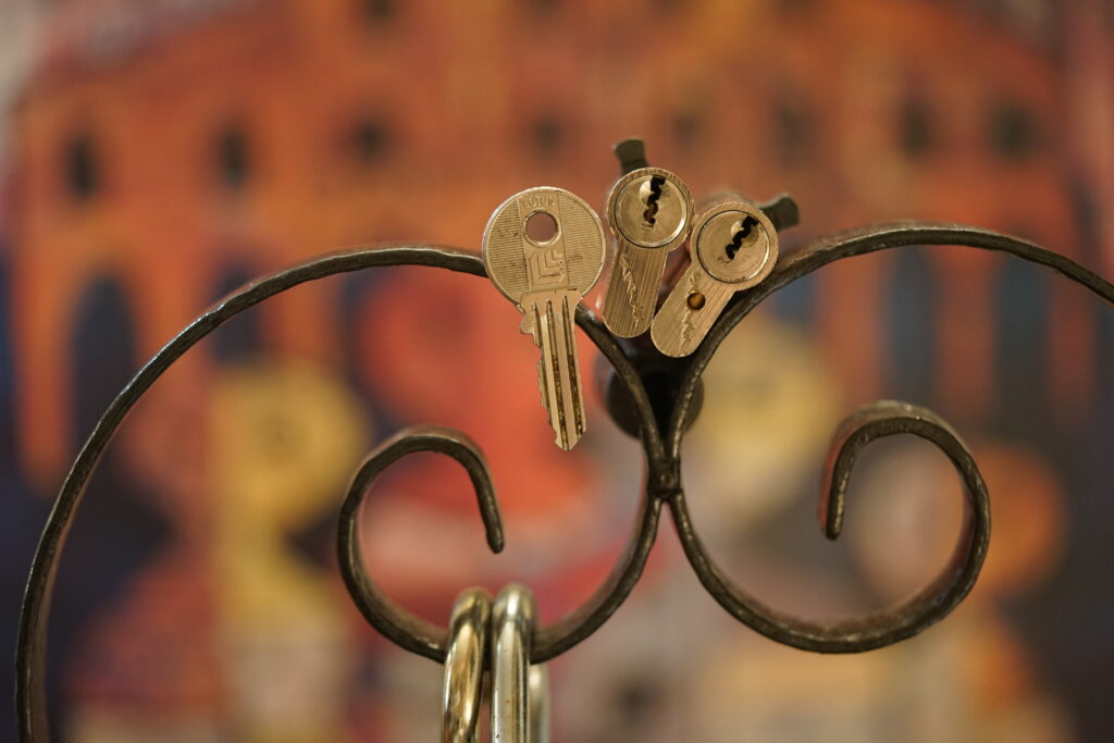 STARLET Cylinder offen open ouvert Arthur Bühl Arthurmeister Lockpicking Lotus Rohling ABUS Master of the Universe Wired Lock Germany
