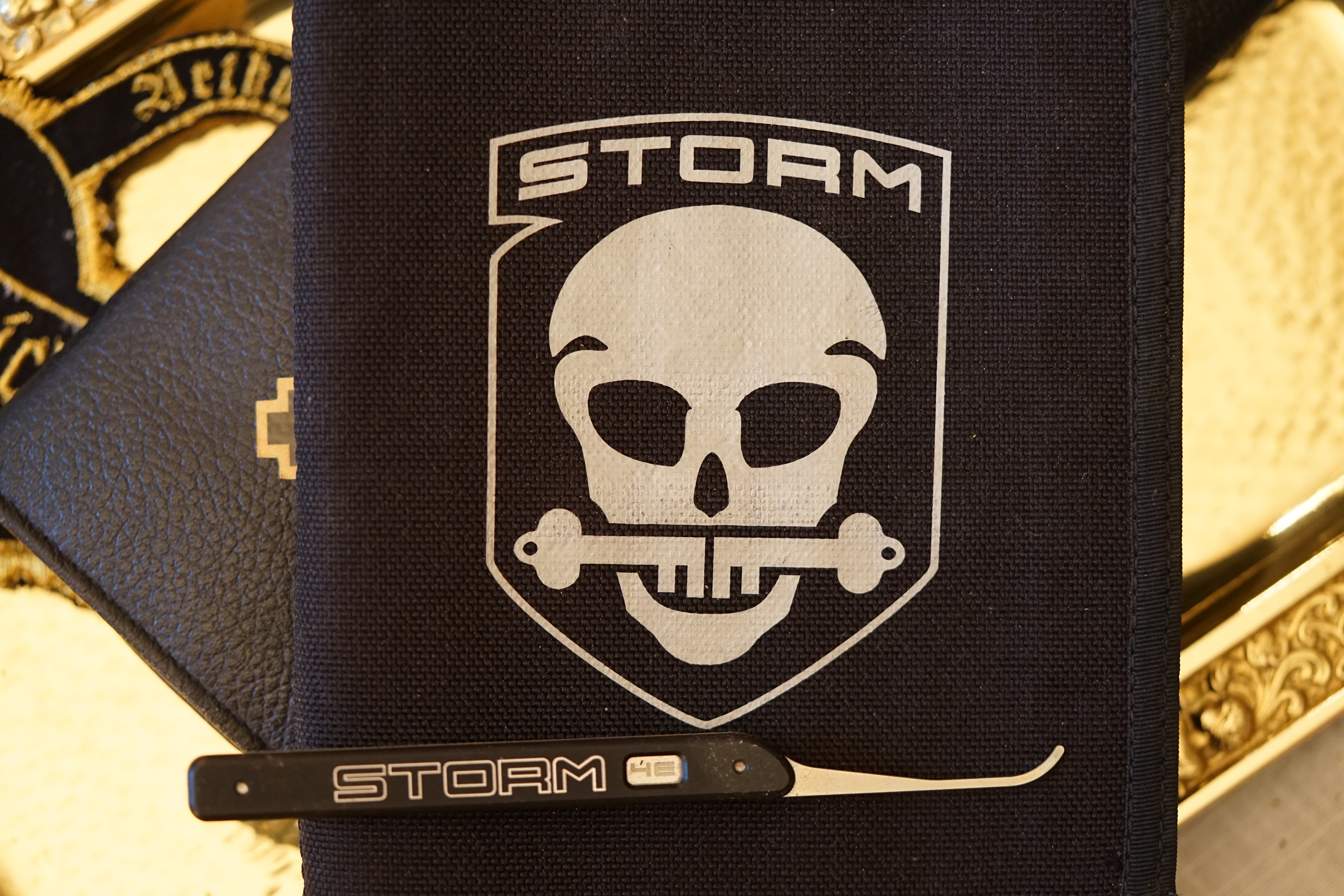 STORM Lockpicking Tool Werkzeug Pickset Rake Snake Hook offen open aperto Arthur Andreas Bühl Arthurmeister Lockpicking Master of the Universe Wired