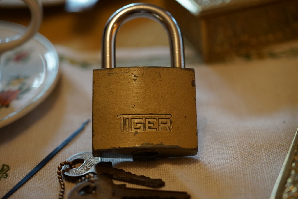 Tiger Padlock KEY Arthur Andreas Bühl Arthurmeisters HAM Lockpicking Master of the Universe Wired