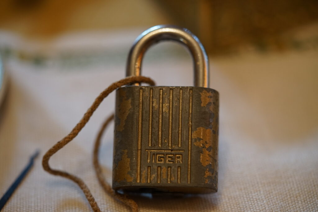 Tiger Padlock KEY Arthur A. Bühl Privatdetektiv BUDEG BDD WAD International germany Security