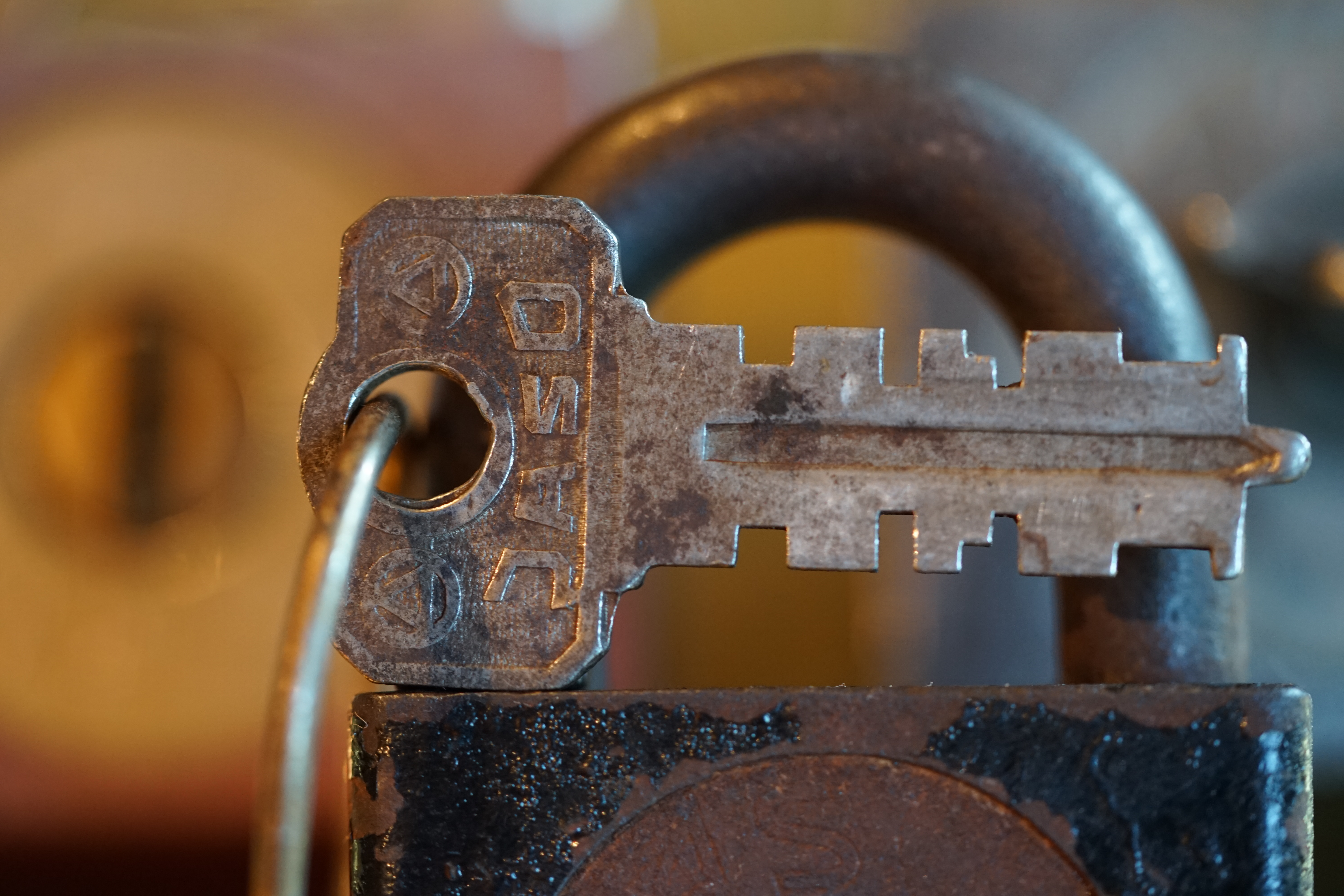 SEO Arthur Bühl, JOE ASBERRY und die B - Seite Arthurmeister`s Jukebox im Hasenstübchen am Hasenberge, Fuhlsbüttel ( HAM ) Hey Joe " Asberry ", ruft F 1 Rudi vom Tresen, Prost und Stößchen ruft Heike III zum Stammtisch. Die Jukebox spielt in voller Lautstärke Mr. Bojangles. Arthurmeister, der Sympathieträger hat bay the way mit einem ABUS Padlock Joe`s Michael Air Jordan`s Basketball bag gesichert ! Auch der Michael Jordan mußte hier im Hasenstübchen das Basketball bouncing Verbot akzeptieren. Formel 1 Rudi schreit: Bouncing darf und kann hier nur ein Michael Schumacher. Die Cartomanze meint, ein Ralf Schumacher auch ! Prost Weizen, Stößchen, Käppchen, ASBERRY !!! Die Jukebox by Youtube spielt " Slow Hand ". Joe, du rascal belehre uns nicht schon wieder. Wir sind hier in der Rabbit Hall and smoking is good for your drunken head. Prosit, Cheer`s, Salute, Gin Gin, altüst, sante` und Viva ! Hoch die Tassen ! Am Tresen läutet die Glocke. Der Rotamint der blinkt. Drei Tage war der JOE krank, jetzt trinkt und raucht er wieder. Gott sei Dank ! In der Zwischenzeit haben Mittrinker an der neuen Jukebox B - SEITE im Hasenstübchen eine Bass - Boom - Boom - Box angeschlossen. In voller Lautstärke sind jetzt Sounds wie I Love America von Patrick Juvet, Pointer Sisters - Slow Hand, Bryan Ferry - Don`t stop the Dance, UB 40 - Kingston Town, Jimmy Sommerville - To love somebody, Bob Marley & The Wailers - Jammin, Shaft - Isaac Hayes - The Late Show with David Lettermann zu hören. Heike !! drückt dann Roberto Blanco - Der Puppenspieler. Schwerti hält mit Amanda Lear - Queen of China - Town, dagegen. F 1 Rudi drückt: Element of Crime - Delmenhordt und ein weiteres von Element of Crime - Am ersten Sonntag nach dem Weltuntergang. Sir Washi drückt unsere Ina Müller - Sowas passiert mir heut nicht mehr und Roger Wittaker - Du wirst alle Jahre schöner ! Prost ! Rotkäppchen, Stößchen, Hallöchen ! Rudi mein Ralalla. Jetzt kommt unsere Disco Fraktion an die Reihe. Der Auftackt: Gary Low - La Colegiala, Bobby O - She has the way, Bonny M. Sunny. Die ersten Gäste im Hasenstübchen fangen an zu tanzen. Whre do i Begin - Love Story 1971, Dionne Warwick - Heartbreaker, Sweet Sensation - Sad sweet dreamer, und natürlich Lobo - I`d Love You To Want Me - Top Pop wurden in Folge gedrückt. Immer diese Drücker: Bad Boys Blue - You`re a Woman 1985, Pointer Sisters - I´m so Excited Live, Lipps Inc. - How Long, Chic - Le Freak folgten. Die Glocke läutet - die Gläser klingen. Der Hannenberger freut sich. Auf der dieser Party wird jetzt in der Juke Box B - Seite die Musik von: Duck Sauce vs Boney M - Barbara Streisand Go Home VIVA DISCO MIX, Pargo - You And Me, Telex - Moskow Diskow, TEQUILA - BO BOSS, Geil - Bruce & Bongo gespielt. Die Glocke am Tresen läutet wieder: Parole Freibier ! Electrica Salsa OFF, Space - Magic Fly, Neja - Restless - Bum Bum Radio Edit, bringen richtig Stimmung in die Bude. Heike will unbedingt ihren GAZEBO - Masterpiece in der 12" Version hören. My Heart Goes Boom in der Xrended Club Version, das FPI Project - Rich in Paradiese - Going Back To My Roots, Boys Town Gang - Can`t Take My Eyes Of You und Evelyn Thomas mit High Energy bringen weitere Performace ! Pony´s und Weizen. Fassbier, Freibier, Helbing ! und GabiKo. Der Eintieg erfolgt wieder bei: Sister Sledge - All American Girls, Bumblebee Unlimited - LADY BUG, Gary Low - You ar danger in der Extended Version von 1982 und Camouflage - Love is a shield. Prost und Prösterchen: bei Alle Farben & ILIRA - FADING wird auf den Bänken getanzt. Natürlich auch noch bei P. Lion - Happy Children und Girlie - Girlie von Sophia George. Bei Sandra - Little Girl gehen die ersten in den Nebenraum. French Affair - SEXY ! Philly Vanilli - Viagra Sex Machine, Marvin Gaye - Sexual Healing lassen Hannenberger das gezapfte in den Nebenraum bringen. Hannenberger schwitzt ! Die Glocke läutet: Umsatz ! Gary Moore - This Flight Tonight, Golden Earring - Radar Love und GIANNA NANNINI - AMERICA läuten eine weitere Runde ein. Schwerti und Bouncing Joe Asberry sind am rocken: Led Zepplin - Stairway To Heaven Live, IRON BUTTERFLY - IN A GADDA DA VIDA ! Bier, mehr Bier ! am besten Freibier ! Der Song: The Doors - Light My Fire verlangt nach mehr Bier. Bei unserem Willy DeVille - Heaven Stood Still schauen die Säufer in den Spiegel. Bei Diana Ross mit: Touch Me In The Morning will aber keiner aufwachen. Pony`s und Stösschen`s ! Nachher um 11.00 ist wieder High - Noon ! Dann geht`s von vorn los: SLOW HAND und ARTHURMEISTER MASTERTOUCH ! Heute schlägt der Noagerlzutzler zusammen mit dem Arkadasch den SEO vor: Balla coi miti, Tanz mit den Legenden, Grüße an Radio Sabbia nach Riccione / Italy in die Via Veneto 3, I 47 838 Riccione. Luigi del Bianco !!! APERTO !!! Der F 1 Rudi schreit: Helbing ! Arthur du mußt noch Bild ungsfern, schwupp di wupp - OFFEN, Musik, Music, Arthur Meister poke arround Houdini, Telefon, Telefonbucheintrag, gelbe Seiten, örtliche, MUT PROBEN, Carsten Jasner, Das Leben ist tödlich. Aber es muß nicht sterbenslangweilig sein ! Tazelwurm schreit Pelle Pelz. Heinz Schenk, Käffchen und Schnittchen werden noch genannt. Der Och will das auch Bettnässer und mit zweifelhafter Hygiene hier steht. Der Scholischek darf sich zu Wort melden: Biene Maja, getestet, TÜV, DEKRA, FRISEUR ! CARAMBA ! Verschlagwortet mit: Arthur Bühl, Detektiv, the dutch open Lockpicking Champion ! From WIRED. ÖFFNUNG OHNE SCHLÜSSEL, Linkedin Joe Asberry, F 1 Rudi, Heike IV, Stößchen, Sir Washi, Nachläufer, Skat, Twitter X. Basket Ball Bouncing Verbot, Arthurmeister, Raucher, Roth - Händle, Stadt Lahr - Bühl, Schwarzwald, Black Forest, Rotkäppchen you know Mr. Smitz, Sorte Schwäbischerhengst.de is großfruchtig und süss. Buhl er Zwetschge. No, only woman has Pflaumen ♥. Wilhelm Busch ! Verschlagwortet mit: Arthur Bühl, Detektiv, the dutch open Lockpicking Champion ! From WIRED. ÖFFNUNG OHNE SCHLÜSSEL, Linkedin Joe Asberry, Twitter X. Basket Ball Bouncing Verbot, Arthurmeister, Raucher, Roth - Händle, Stadt Lahr - Bühl, Schwarzwald, Black Forest, Rötkäppchen you know Mr. Smitz, Sorte Schwäbischerhengst.de is großfruchtig und süss. Buhl er Zwetschge. No, only woman has Pflaumen ♥. Wilhelm Busch 𝐋𝐞𝐠𝐨 𝐁𝐢𝐥𝐥𝐮𝐧𝐝 𝐋𝐞𝐠𝐨𝐥𝐚𝐧𝐝 𝗩𝗲𝗿𝘀𝗰𝗵𝗹𝗮𝗴𝘄𝗼𝗿𝘁𝗲𝘁 𝗺𝗶𝘁: 𝗔𝗿𝘁𝗵𝘂𝗿 𝗕ü𝗵𝗹, 𝘁𝗵𝗲 𝗗𝘂𝘁𝘀𝗰𝗵 𝗼𝗽𝗲𝗻 𝗟𝗼𝗰𝗸𝗽𝗶𝗰𝗸𝗶𝗻𝗴 𝗖𝗵𝗮𝗺𝗽𝗶𝗼𝗻 ! 𝗙𝗿𝗼𝗺 𝗪𝗜𝗥𝗘𝗗. Ö𝗙𝗙𝗡𝗨𝗡𝗚 𝗢𝗛𝗡𝗘 𝗦𝗖𝗛𝗟Ü𝗦𝗦𝗘𝗟, 𝗟𝗶𝗻𝗸𝗲𝗱𝗶𝗻, 𝗧𝘄𝗶𝘁𝘁𝗲𝗿 𝗫. 𝗟𝗲𝗴𝗼 𝗕𝗶𝗹𝗹𝘂𝗻𝗱 Verschlagwortet mit: Arthur Bühl, the Dutsch open Lockpicking Champion ! From WIRED. ÖFFNUNG OHNE SCHLÜSSEL, Linkedin, Twitter X. 𝔄𝔯𝔱𝔥𝔲𝔯 𝔅ü𝔥𝔩, 𝔄𝔯𝔱𝔥𝔲𝔯𝔪𝔢𝔦𝔰𝔱𝔢𝔯® Verzwetschget mit: ♥ Vokuhila, Friseur ♥ Schwäbischer Hengst, Zwetschgen Heini, Bühl er, Zwetschge, Google Earth, Mittelpunkt der Welt, Martinameisterin, Cartomanze, Scholischek, " HIGH NOON ! ". ♥ Parole Emil ! SEO LOTTO 𝔄𝔯𝔱𝔥𝔲𝔯 𝔅ü𝔥𝔩, 𝔄𝔯𝔱𝔥𝔲𝔯𝔪𝔢𝔦𝔰𝔱𝔢𝔯® Verschlagwortet mit: Arthur Bühl, Arthurmeister® Arthur ♥ Schwäbischer Hengst, Buhl, Zwetschgen Heini, Artur, Buehl er, Zwetschge, Made in Germany, Born 1961, Sympathieträger, Google Earth, Mittelpunkt der Welt, Pflaumen, Arkadasch, Datschi, ♥ Martinameisterin, Cartomanze, Scholischek, " HIGH NOON ! ", ♥ ♥ Vokuhila ♥ Parole Emil ! SEO Bühl Zwetschge ♥ 𝔄𝔯𝔱𝔥𝔲𝔯 𝔅ü𝔥𝔩, 𝔄𝔯𝔱𝔥𝔲𝔯𝔪𝔢𝔦𝔰𝔱𝔢𝔯® 𝗩𝗲𝗿𝘇𝘄𝗲𝘁𝘀𝗰𝗵𝗴𝗲𝘁 𝗺𝗶𝘁: 𝔄𝔯𝔱𝔥𝔲𝔯 𝔅ü𝔥𝔩, 𝗔𝗿𝘁𝗵𝘂𝗿𝗺𝗲𝗶𝘀𝘁𝗲𝗿, 𝗥𝗮𝘂𝗰𝗵𝗲𝗿, 𝗥𝗼𝘁𝗵 - 𝗛ä𝗻𝗱𝗹𝗲, 𝗦𝘁𝗮𝗱𝘁 𝗟𝗮𝗵𝗿 - 𝗕ü𝗵𝗹, 𝗦𝗰𝗵𝘄𝗮𝗿𝘇𝘄𝗮𝗹𝗱, 𝗕𝗹𝗮𝗰𝗸𝗳𝗼𝗿𝗲𝘀𝘁, 𝗥𝗼𝘁𝗸ä𝗽𝗽𝗰𝗵𝗲𝗻 𝘆𝗼𝘂 𝗸𝗻𝗼𝘄 𝗠𝗿. 𝗦𝗺𝗶𝘁𝘇, 𝗦𝗼𝗿𝘁𝗲 𝗦𝗰𝗵𝘄ä𝗯𝗶𝘀𝗰𝗵𝗲𝗿𝗵𝗲𝗻𝗴𝘀𝘁.𝗱𝗲 𝗶𝘀 𝗴𝗿𝗼ß𝗳𝗿𝘂𝗰𝗵𝘁𝗶𝗴 𝘂𝗻𝗱 𝘀ü𝘀𝘀. ♥ 𝗡𝗼, 𝗼𝗻𝗹𝘆 𝘄𝗼𝗺𝗮𝗻 𝗵𝗮𝘀 𝗣𝗳𝗹𝗮𝘂𝗺𝗲𝗻 ♥ 𝗞𝗹𝗲𝗶𝗻𝘁𝗶𝗲𝗿𝘇ü𝗰𝗵𝘁𝗲𝗿𝘃𝗲𝗿𝗲𝗶𝗻. 𝗗𝗶𝗲 𝗘 - 𝗠𝗮𝗶𝗹 𝗹𝗮𝘂𝘁𝗲𝘁: 𝗔𝗿𝘁𝗵𝘂𝗿𝗺𝗲𝗶𝘀𝘁𝗲𝗿@𝗔𝗿𝘁𝗵𝘂𝗿𝗺𝗲𝗶𝘀𝘁𝗲𝗿.𝗱𝗲 𝗗𝗶𝗲 𝗘 - 𝗠𝗮𝗶𝗹 𝗹𝗮𝘂𝘁𝗲𝘁: 𝗔𝗿𝘁𝗵𝘂𝗿𝗔𝗻𝗱𝗿𝗲𝗮𝘀𝗕𝘂𝗲𝗵𝗹@𝗔𝗿𝘁𝗵𝘂𝗿𝗔𝗻𝗱𝗿𝗲𝗮𝘀𝗕𝘂𝗲𝗵𝗹.𝗱𝗲 Verschlagwortet mit Bühl er Zwetschge, Zwetschgenhengst, Pflaume, plum, Erikli, prugna torta, Datschi, süss. ♥ Zwetschgen Heini verschlagwortet mit: ♥ Vokuhila, Friseur ♥ Schwäbischer Hengst, Zwetschgen Heini, Bühl er, Zwetschge, Google Earth, Mittelpunkt der Welt, Martinameisterin, Cartomanze, Scholischek, " HIGH NOON ! ". ♥ Parole Emil ! 𝔄𝔯𝔱𝔥𝔲𝔯 𝔅ü𝔥𝔩, 𝔄𝔯𝔱𝔥𝔲𝔯𝔪𝔢𝔦𝔰𝔱𝔢𝔯® In der Vitrine von Arthur Andreas Bühl, Arthurmeister sind Schlösser, Padlocks, von ABUS, BKS, CES, DOM, EVVA, Assa Abloy, Z Ikon, Kaba, Keso, ASSA, Winkhaus, Wilka, Trelock, Schmelting, Bode Panzer, Ancor Las, Drumm Geminy, Xylock, SEA, Medeco, Mul-T-Lock, Cut away, ABUS Granit, Pfaffenhain, E*S, ESS, Nemef, BAB, Babelsberg, Stasi, Diskus, WMF, Tesa, Vachette, Cisa, Wally, Rielda, Mottura, Viro, FAI, GeGe, Fichet, Bode Panzer, Tresor, Bramah, Protector, Braun`s Patent, Walomatus, Arolds, Combination Lock, Yale, Master, American Lock, Tubular, China, Indien, Aligarh, Nepal, Thailand, Zahlenschlösser, Himmelsschlüssel und noch vieles mehr, vorhanden. Alle Schliesszylinder sind Übungsmaterial für das Lockpicking. Schlagschlüssel sind auch dabei. Das Trabbi Tool, Stasi, natürlich auch. Verschlagwortet mit Buehl, Buhl, Rotkäppchen, Zwetschgenhengst, Zwetschge SEO Jahrgang 1961 Verschlagwortet mit: Arthur Bühl, Arthurmeister® Arthur ♥ Schwäbischer Hengst, Buhl, Zwetschgen Heini, Artur, Buehl er, Zwetschge, Made in Germany, Born 1961, Sympathieträger, Google Earth, Mittelpunkt der Welt, Pflaumen, Arkadasch, Datschi, ♥ Martinameisterin, Cartomanze, Scholischek, " HIGH NOON ! ", ♥ ♥ Vokuhila ♥ Parole Emil ! SEO Vitrine Alternativtext: ♥ 𝔄𝔯𝔱𝔥𝔲𝔯 𝔅ü𝔥𝔩, 𝔄𝔯𝔱𝔥𝔲𝔯𝔪𝔢𝔦𝔰𝔱𝔢𝔯®