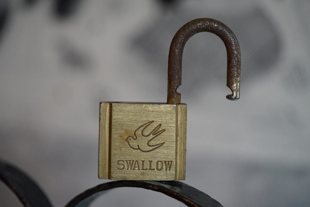 Swallow Schwalbe Vogel Frieden Padlock open offen Arthurmeister Master of the Universe Wired